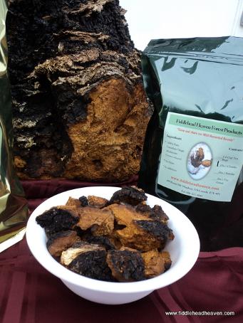 Fresh Chaga New Brunswick