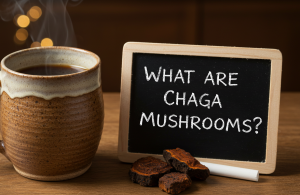 Chaga Mushroom Chunks