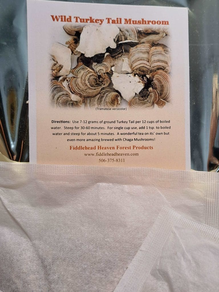 Wild Turkey Tail Mushroom Tea Bags in pouch
