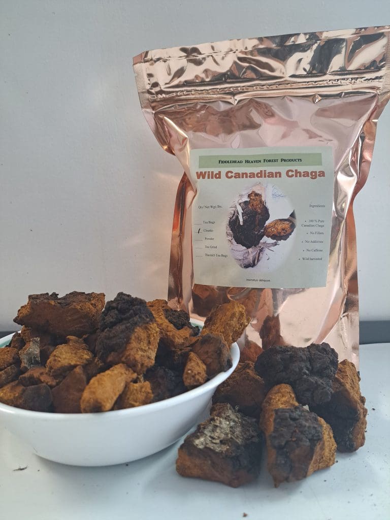 Chaga Mushroom Chunks by Fiddlehead Forest Products