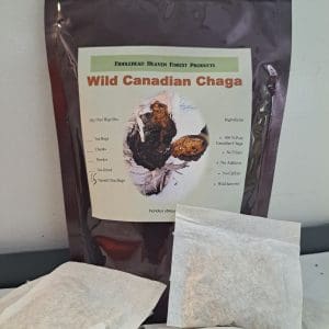 Chaga Thermo Tea Bags