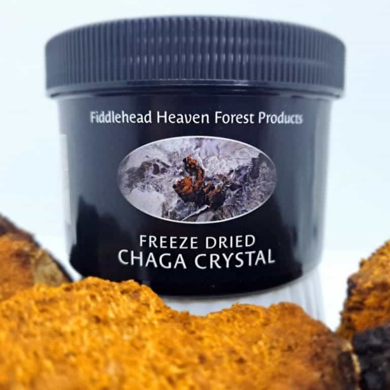 - Freeze-dried chaga crystal blend in jar -