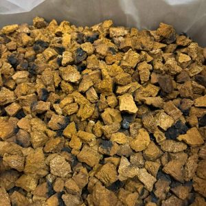 Freeze Dried Chaga 