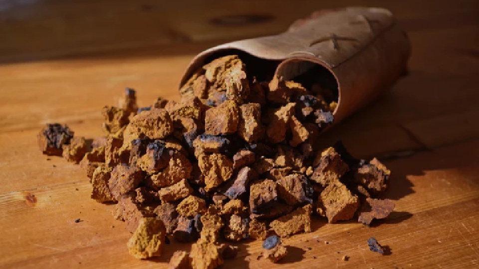 Freeze Dried Chaga mushroom